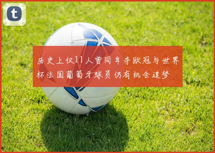 历史上仅11人曾同年夺欧冠与世界杯法国葡萄牙球员仍有机会追梦